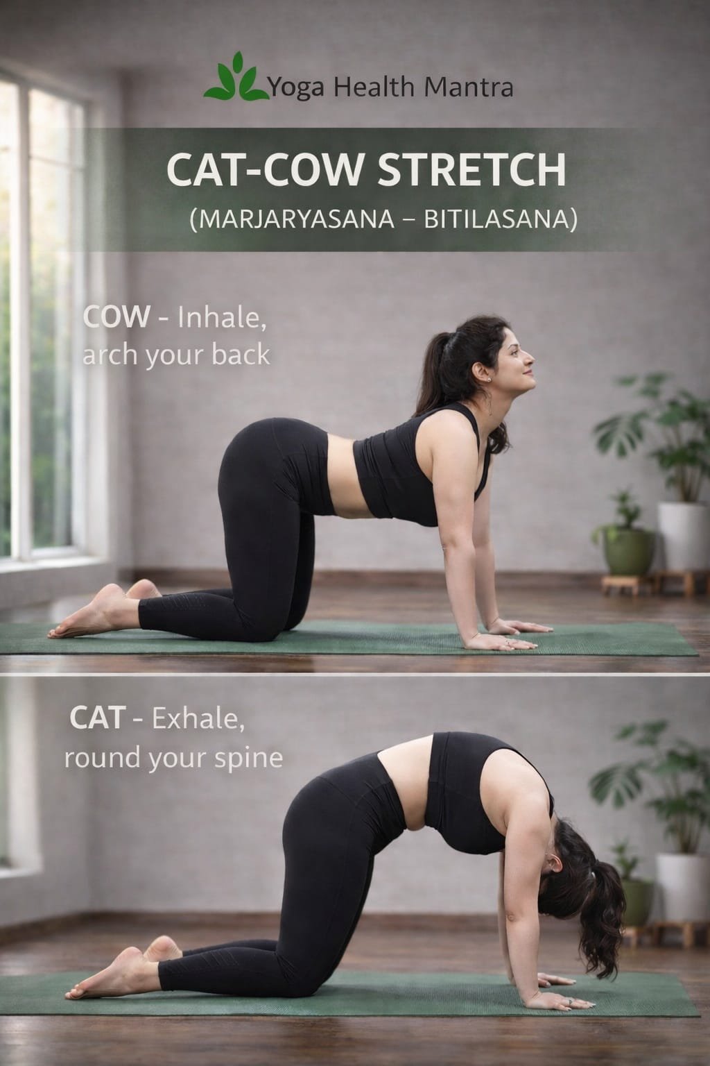 Woman demonstrating Cat-Cow stretch yoga pose for spine flexibility and belly fat reduction