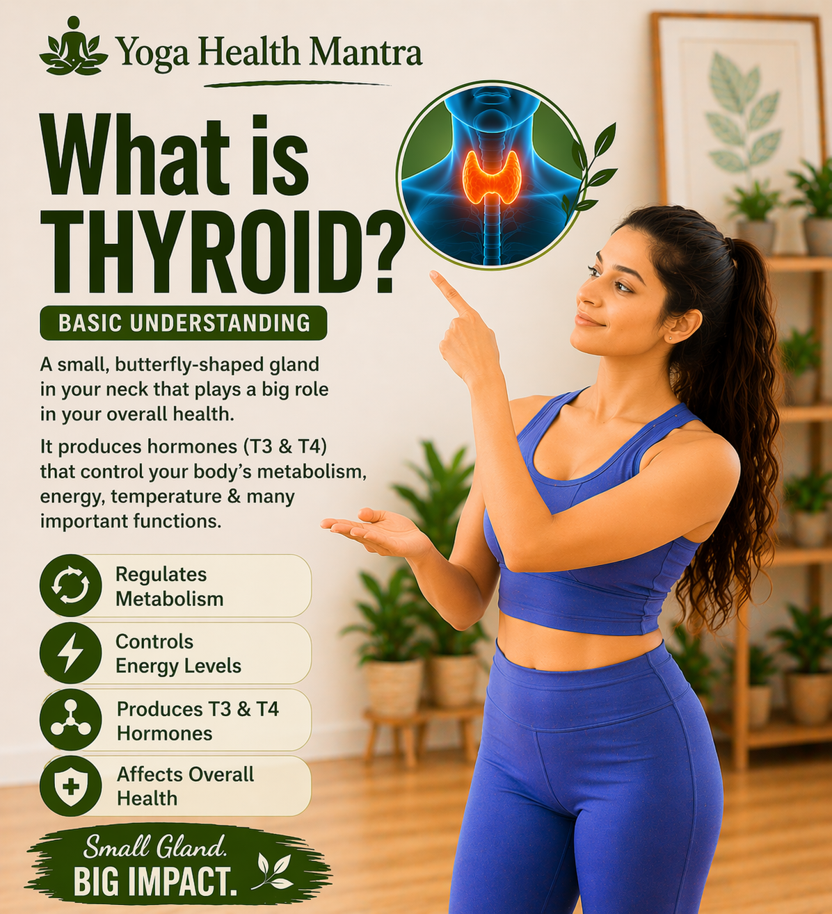 thyroid gland location and function in human body